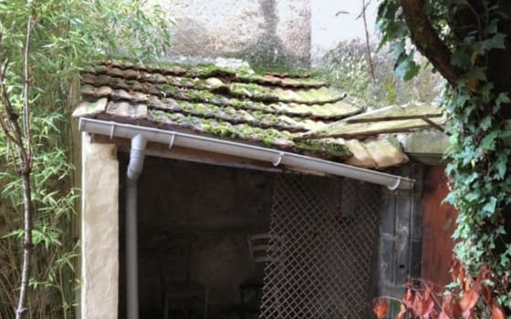 Appentis de cour dont la couverture est entièrement moussue, gouttière déformée.