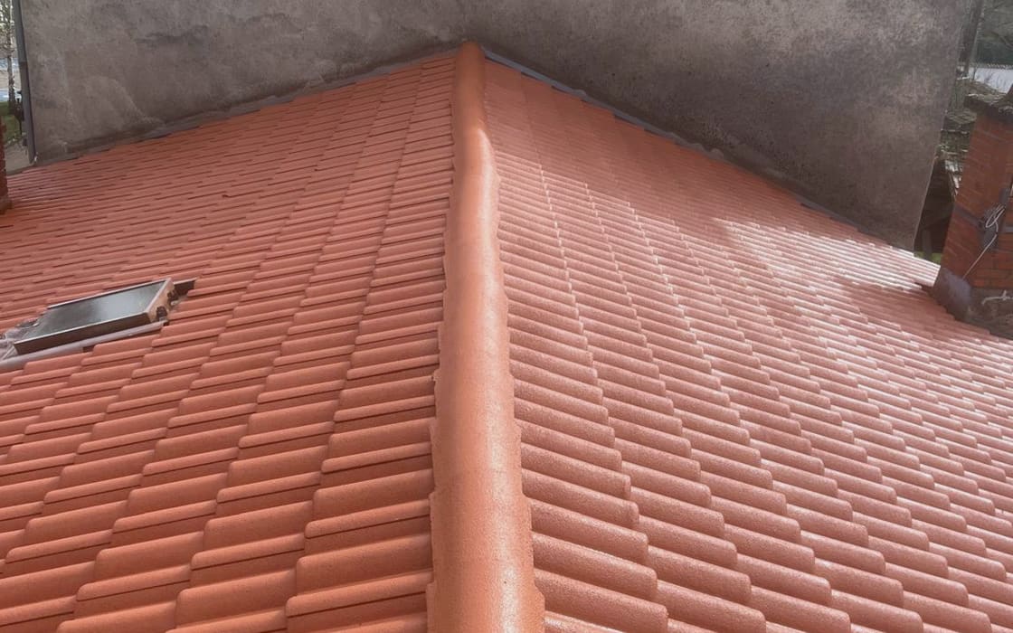 Le même arêtier après nettoyage et traitement de coloration des tuiles.