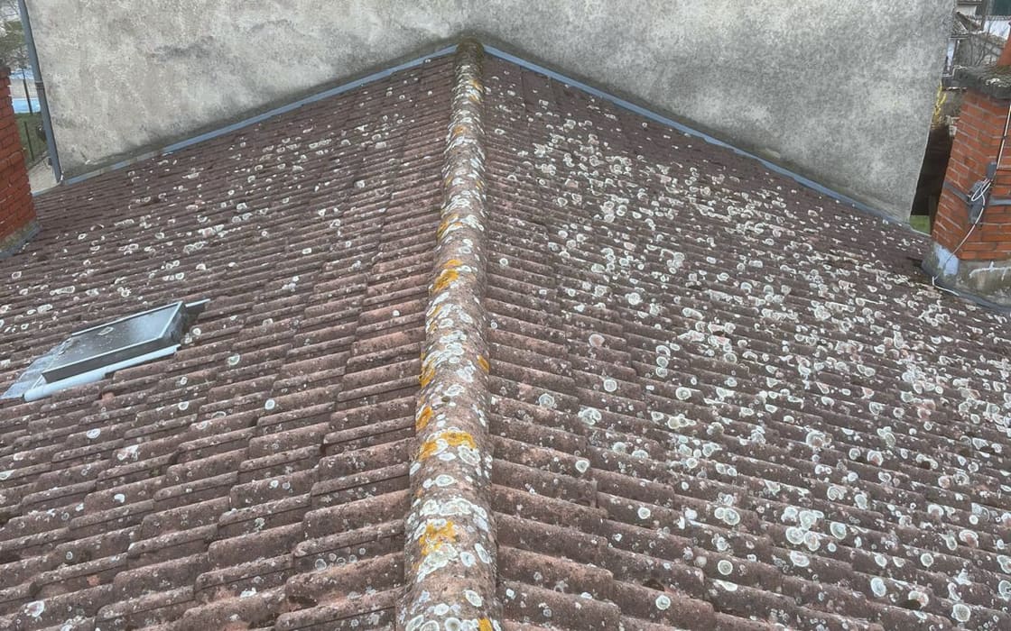 Arêtier de toiture en tuiles mécaniques couvert de lichens blancs et jaunes avant nettoyage.