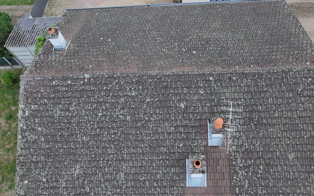 Longue toiture entièrement colonisée par les mousses et les lichens, vue du drone.